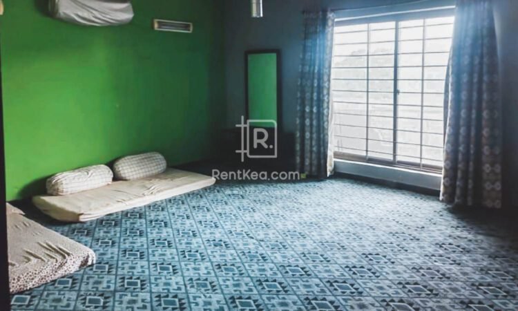 15 Marla House For Rent in University Town Peshawar