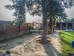 1 Kanal Furnished Farmhouse for Rent on Bedian Road Lahore - Rentkea