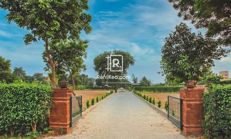 Mahfooz Farm - Rentkea Lahore